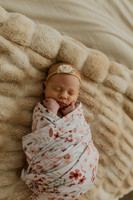 Whitehead | Lifestyle Newborn