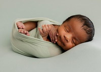 Casanova Windsor | Newborn 2026