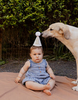 Olive | One Year 2026