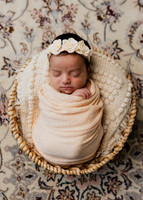 Hermmasian | Newborn 2026